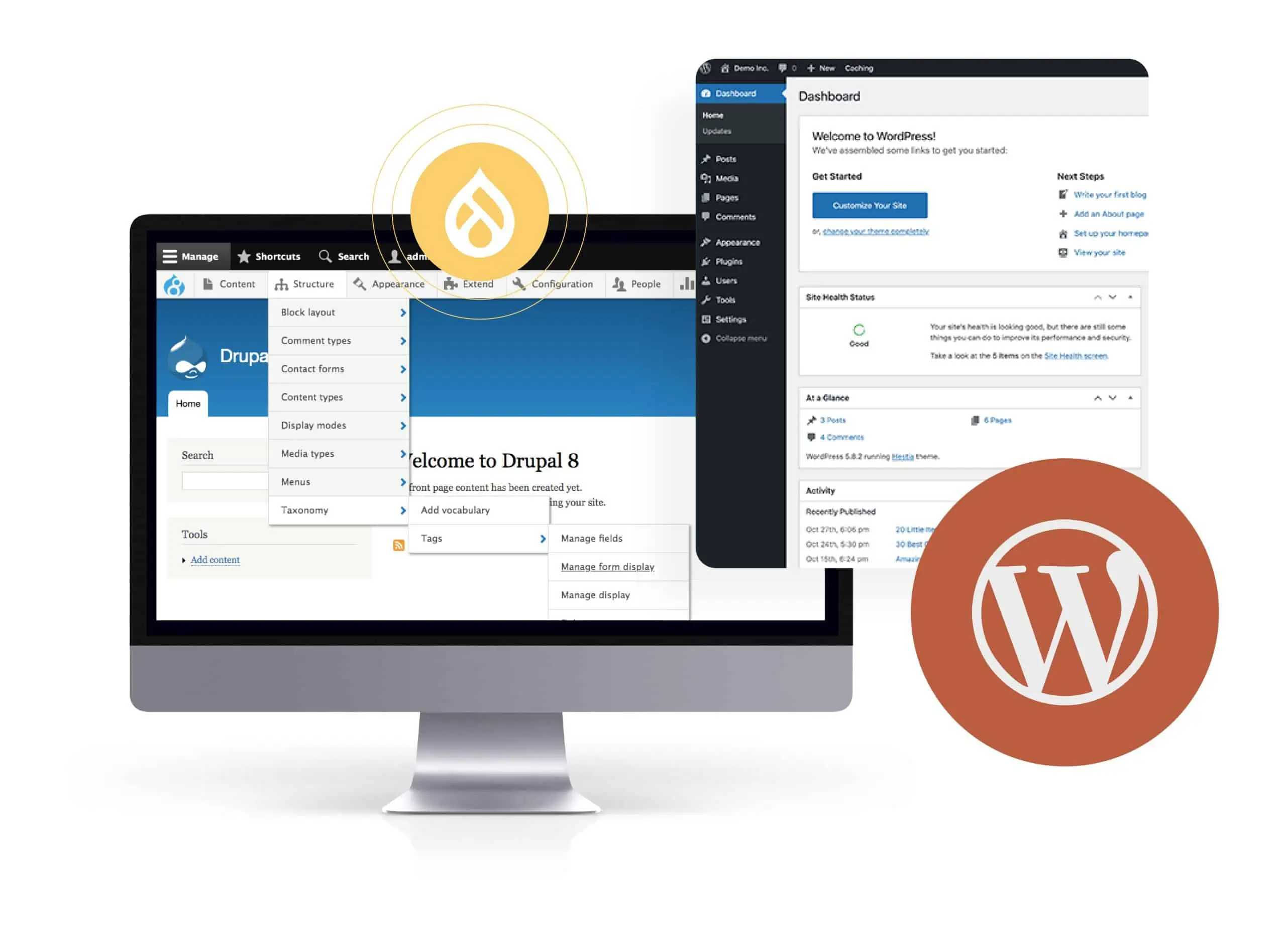 Drupal To Wordpress Migration | WPXStudios