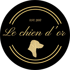 Le chien d'or mobiel hondentrimsalon logo | WPXStudios